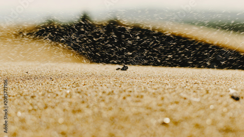 Golden sand dune windblown grains swirling in warm sunlight creating dynamic motion and textured foreground