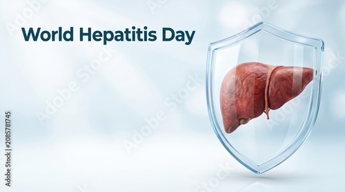 World Hepatitis Day concept with healthy liver protected by transparent shield. Awareness, prevention, and global healthcare campaign with copy space