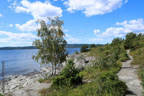 Norwegian coastal landscape