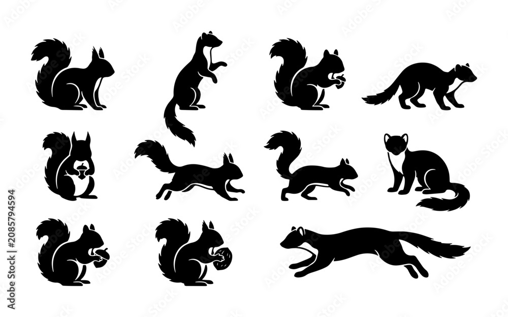 Obraz premium Squirrel and Weasel Silhouettes, Woodland Creatures Vector Icons, Forest Animal Set
