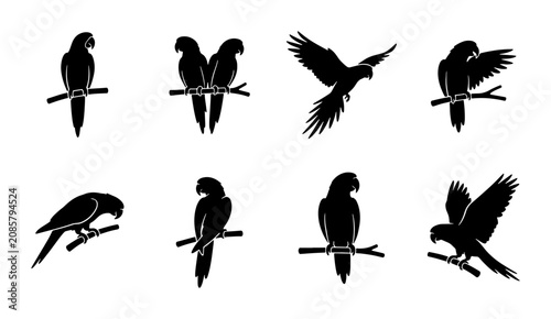 Foto Parrot Silhouettes Collection, Tropical Bird Vector Icons, Exotic Avian Graphics