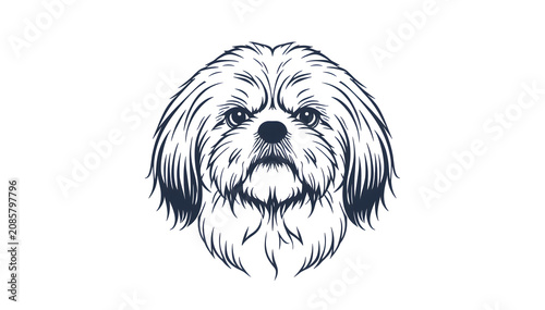 Lhasa Apso Dog Head Portrait in Bold Line Art on White