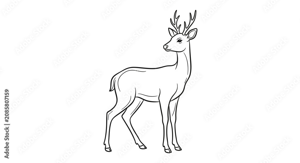 Fototapeta premium A simple line drawing of a deer.