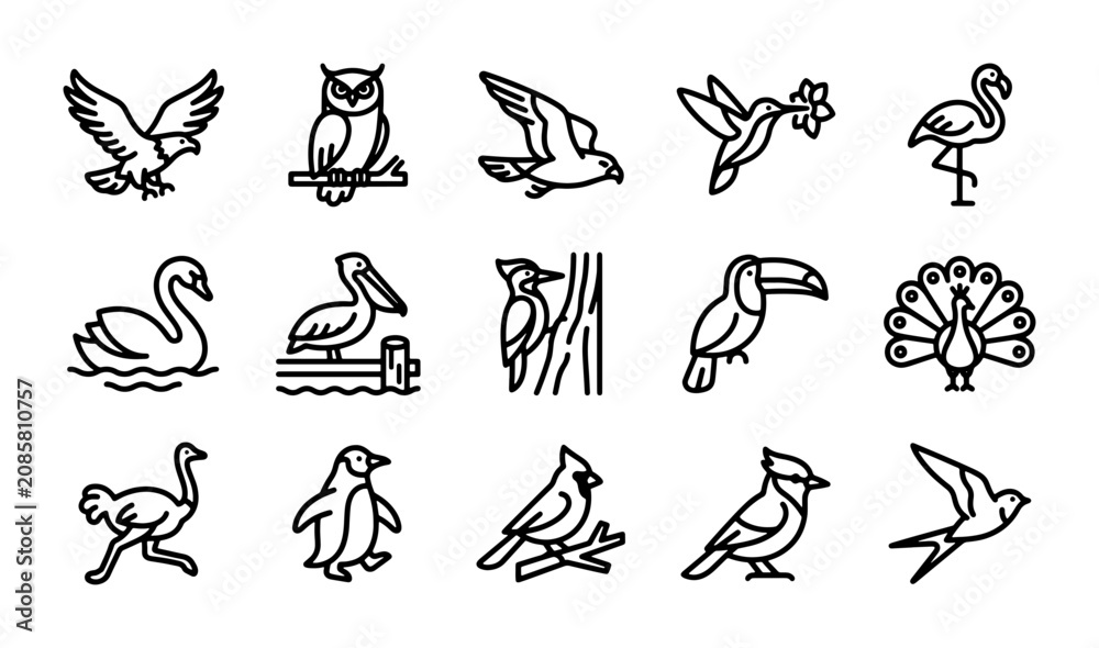 Obraz premium Bird Icons, diverse avian species, outline vector set, animal wildlife collection, nature graphics