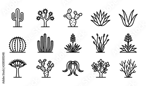 Bilde på lerret Desert cactus and succulent plant icon set, 15 distinct desert plant vector illu