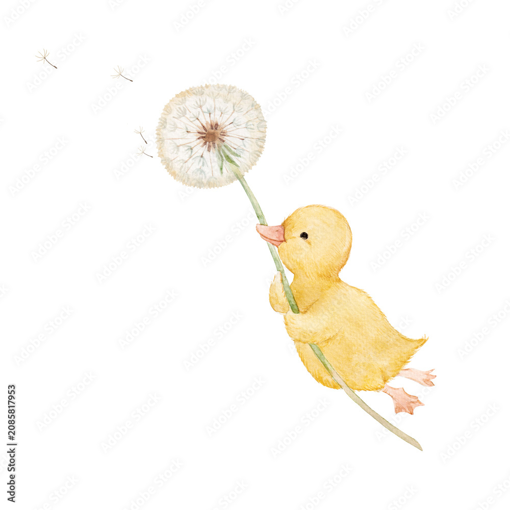 Fototapeta premium Cute Baby Duckling Holding a Dandelion Watercolor Illustration