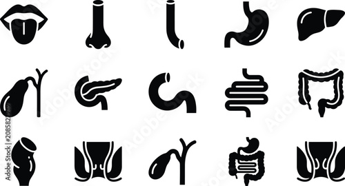 Bild auf Leinwand Black and white human digestive system icons set