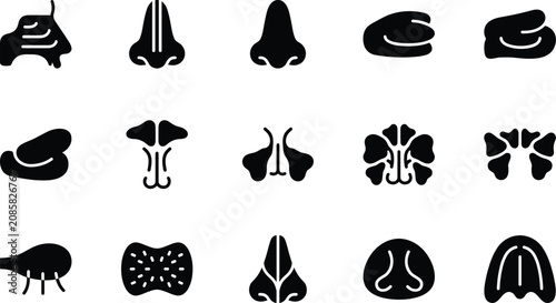 Photos Set of black silhouette icons representing human nose anatomy and nasal sinus st