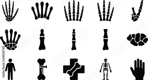 Photos Black and white medical illustration of human skeletal hands and bones