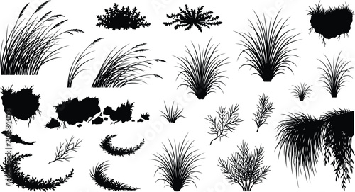 Foto Wild Grass Tufts Botanical Silhouette Collection with Natural Ground Elements
