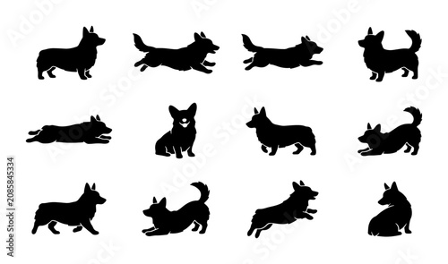 Принти на полотні Corgi Dog Silhouettes: Playful Poses, Active Movements, Vector Icons for Pet Lov