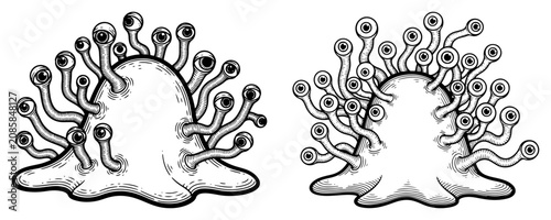 Canvastavla Blob creature with multiple eyes on tentacles in vintage engraving style
