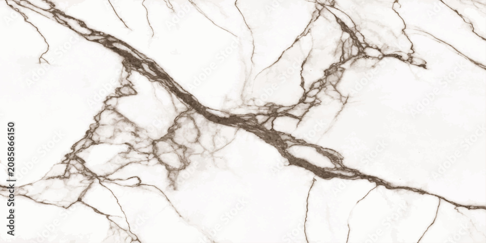Fototapeta premium A close-up of white marble with striking brown veining, showcasing a natural stone texture with intricate patterns.