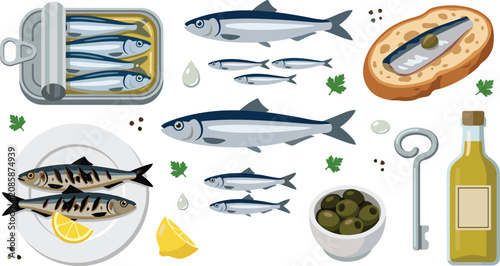Sardine Collection with Fresh Sardines, Canned Sardines, Grilled Fish, Bruschetta, Olive Oil, Green Olives, and Mediterranean Seafood Vector Set