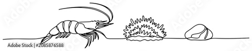 Tableau sur toile Shrimp with sea anemone and stone in continuous line art style