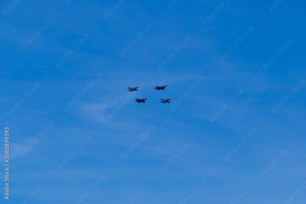 Fototapeta premium flying in the sky