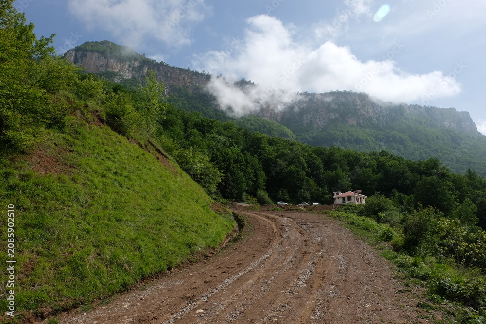 Fototapeta premium road to the mountains