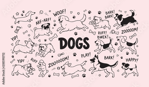 Doodle style hand drawn dogs collection with sound effects and paw prints white background and color black handdrawn illustration collection domestic white background and color black