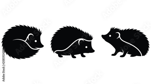 Foto Hedgehog Silhouettes In Various Poses Black And White Vector Graphics