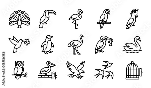 Photography Elegant Bird Icons Set, Feathered Friends Collection, Avian Wildlife Graphics, S