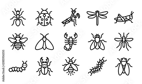 Foto Insect Icons Vector Set: Ant, Ladybug, Praying Mantis, Dragonfly, Grasshopper, B