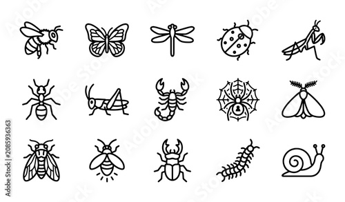 Foto Insect Icons Set, Vector Graphics Collection: Bee, Butterfly, Dragonfly, Ladybug