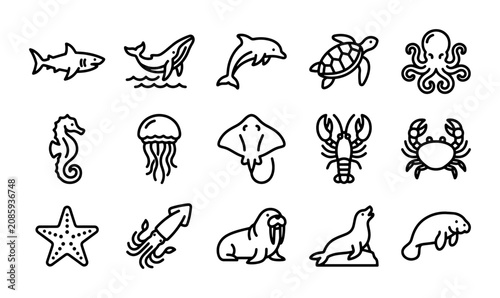 Photography Marine Life Icons Set: Ocean Animals Vector Graphics, Sea Creatures Collection,