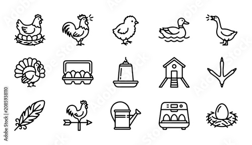 Farm Animal Icons Set, Poultry Vector Graphics, Chicken Coop and Egg Collection