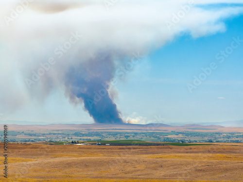 Large smoke column dominates the sky