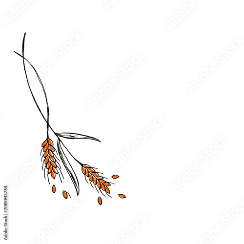 Botanical wheat ear horizontal divider