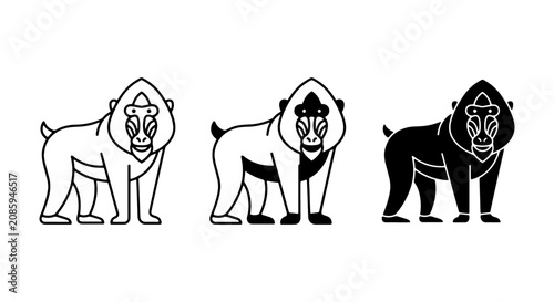 Photography Baboon Icon Set: Outline, Flat, and Silhouette Vector Graphics for Wildlife and