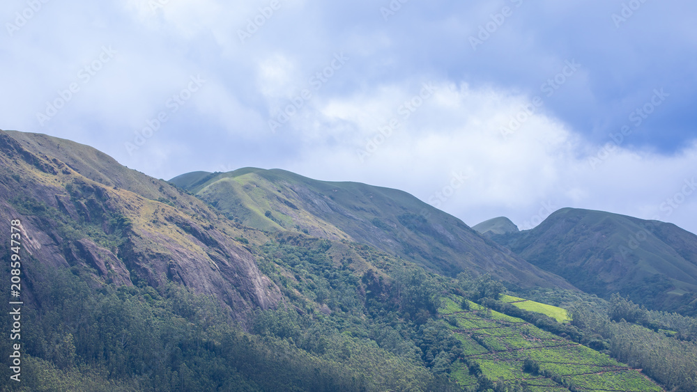 Naklejka premium Cloud-Covered Mountain Landscape in Munnar, Kerala