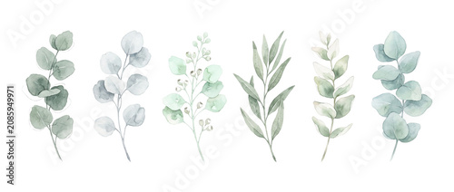 Watercolor eucalyptus leaves branch set on black background, elegant botanical foliage illustration, hand painted sage green leaf collection for wedding design, rustic floral elements clip art clipart