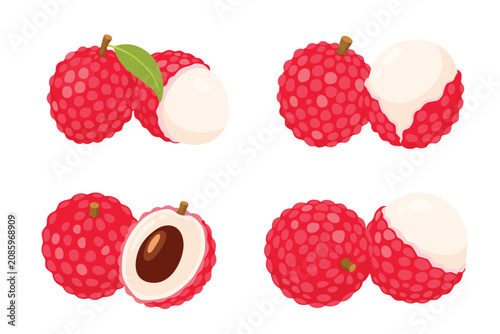  lychee isolated on a white background. Vector illustration cartoon