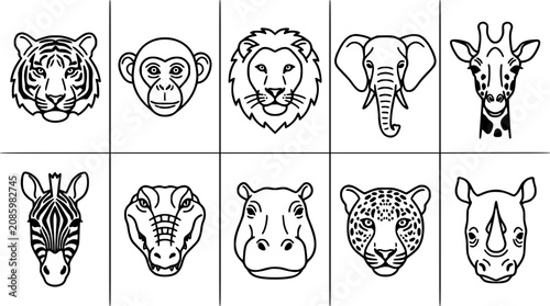 Photography Animals Heads Illustration Featuring Tiger, Monkey, Lion, Elephant, Giraffe, Zeb