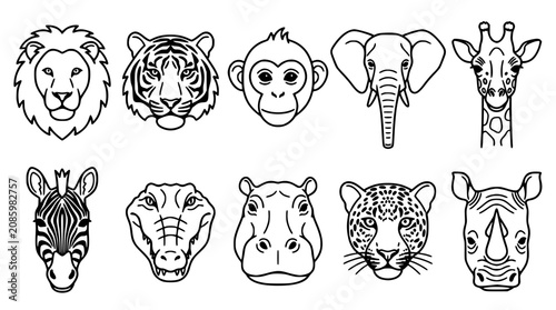 Photography Animals with Detailed Line Art Faces Including Lion, Tiger, Monkey, Elephant, Gi
