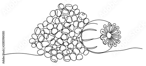 Tableau sur toile Poppy seed pod and pile of seeds for baking in continuous line art style