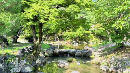 Calm Garden Pond Surrounded by Lush Green Vegetation
