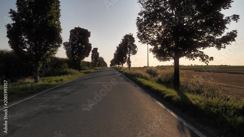 Cinematic Gimbal Panning Shot of Sun Flare Through Trees at Sunset along Country Road