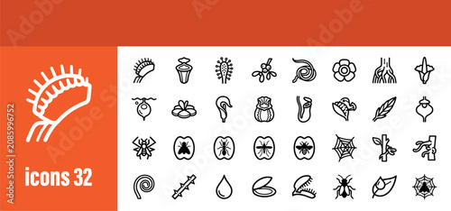 Nature insects and carnivorous plants icons