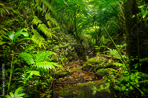 Canvas Print A Million Years of Trickles