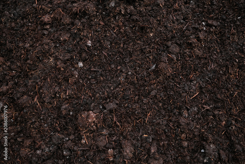 Close-up of moist, fertile garden soil