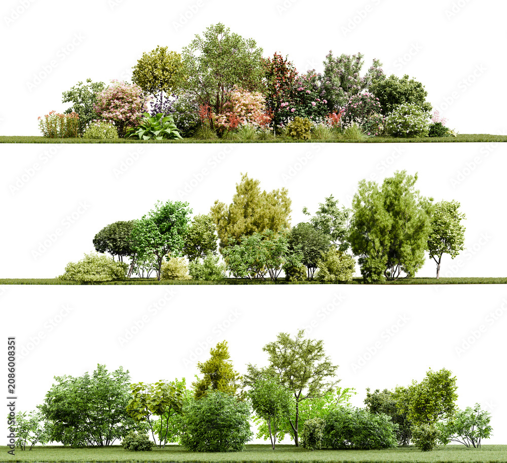 Fototapeta premium Plants, shrubs, and bushes isolated on transparent background. 3D render.