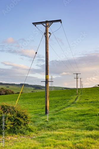 Fotografie Wooden electricity poles crossing green farmland at sunset