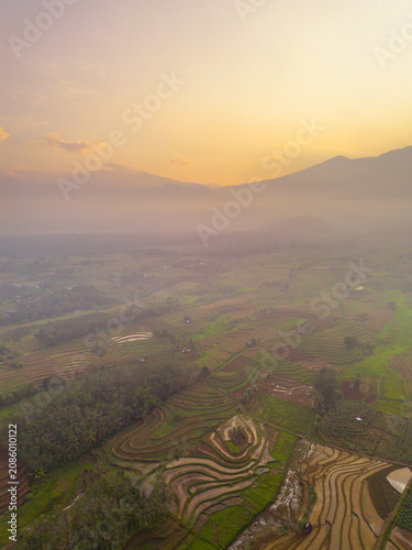 Beautiful panoramic aerial view of terraced rice fields at sunrise in Indonesia, surrounded by lush tropical greenery and palm trees.