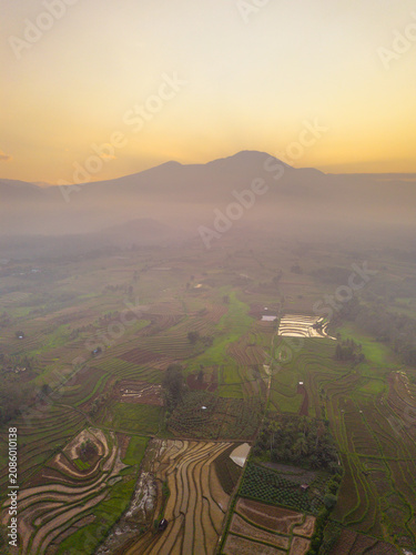 Beautiful panoramic aerial view of terraced rice fields at sunrise in Indonesia, surrounded by lush tropical greenery and palm trees.