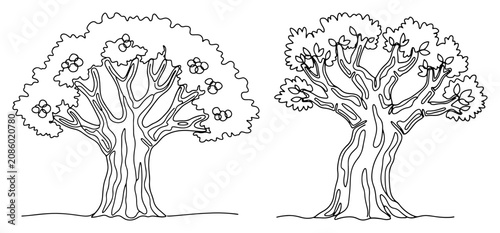 Photos Deciduous trees with thick trunks and lush foliage continuous line art vector