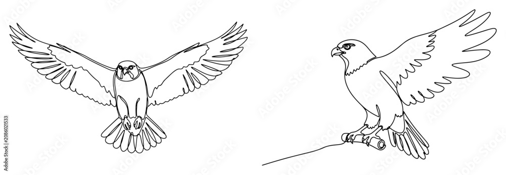 Fototapeta premium Falcon or hawk bird of prey flying and perched in continuous line art style
