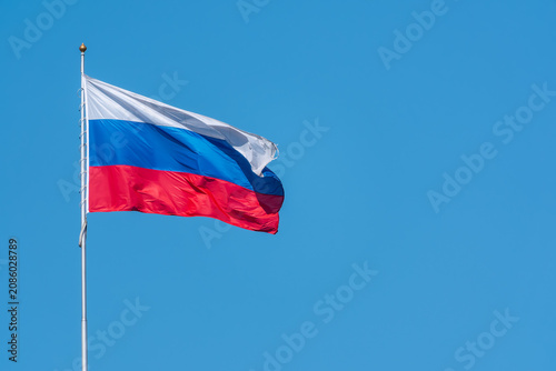 Russian tricolor flag waving in the wind against a blue sky. Fieldbird sits on a branch in spring with a blurred background.