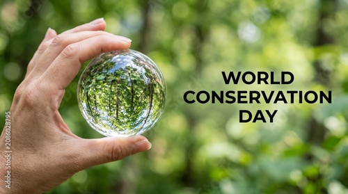 A hand holding a glass sphere reflecting trees for World Conservation Day